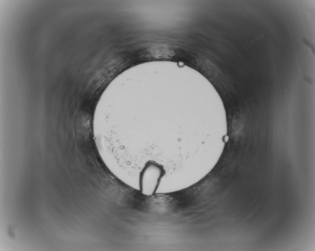 X0000100980321200807081250