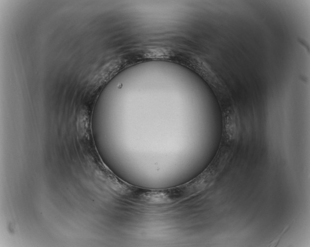 X0000100980322200807081249