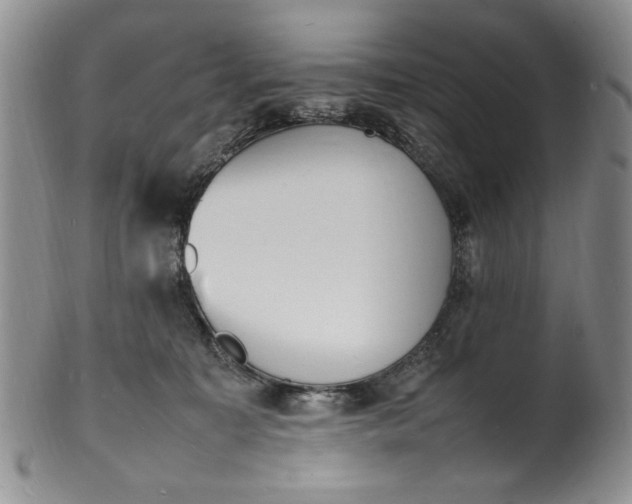 X0000100980323200807081249