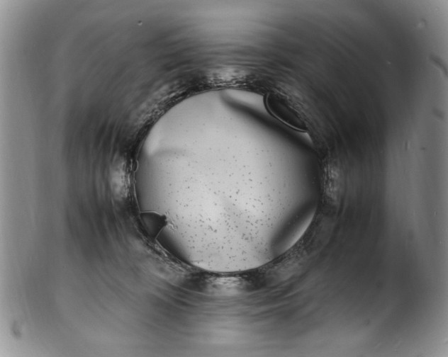 X0000100980324200807081249