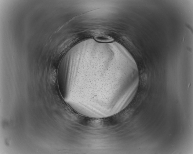 X0000100980325200807081249