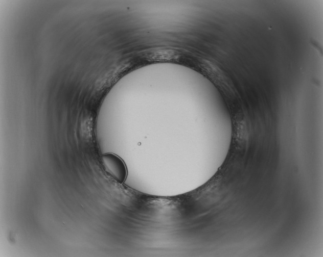 X0000100980326200807081249