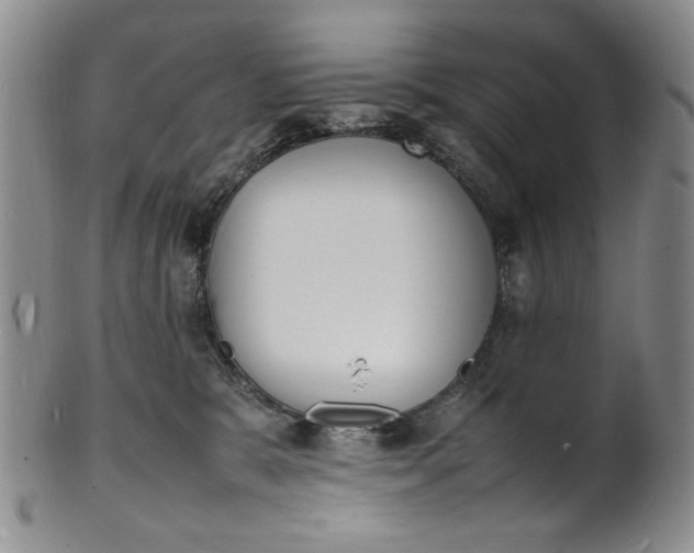 X0000100980327200807081249