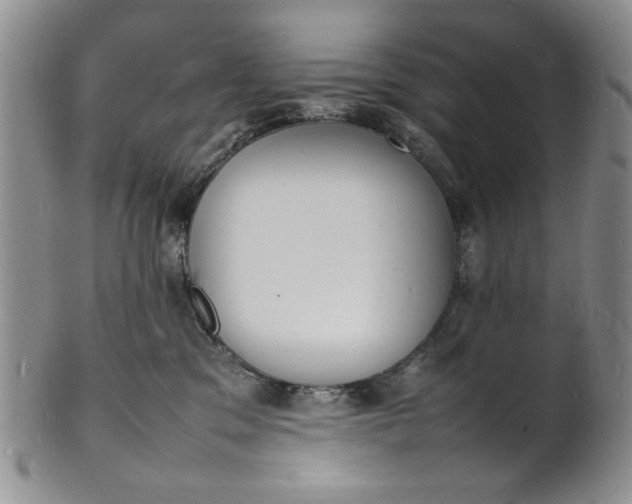 X0000100980329200807081249