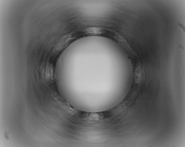 X0000100980330200807081249