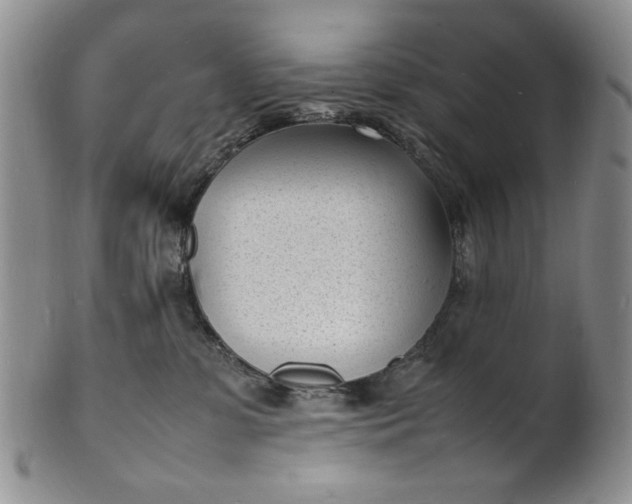 X0000100980331200807081249