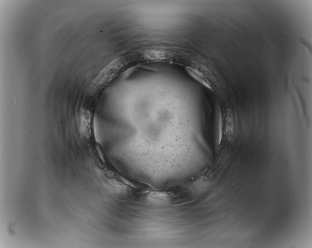 X0000100980332200807081249