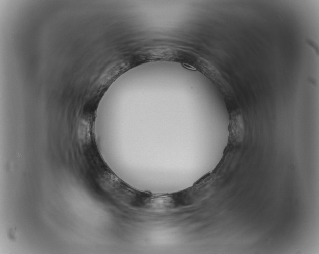 X0000100980333200807081249