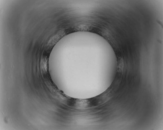 X0000100980334200807081249