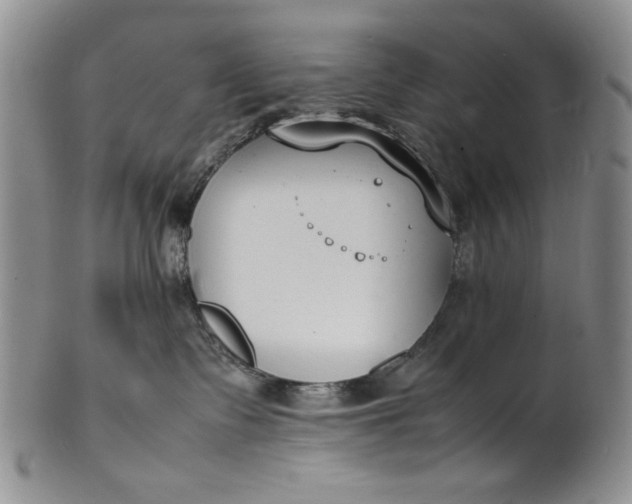 X0000100980335200807081249