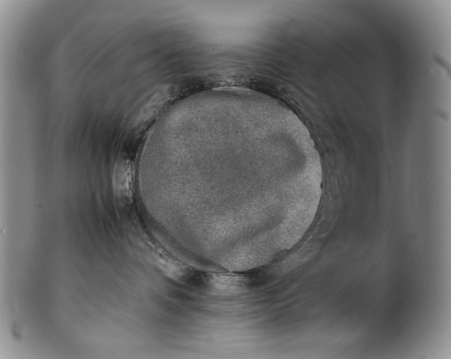 X0000100980336200807081249