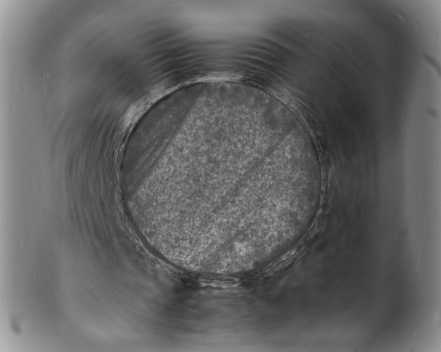 X0000100980337200807081249