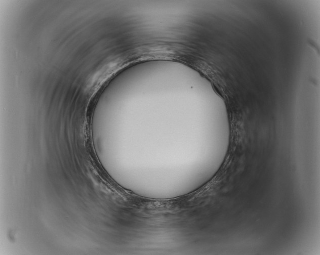 X0000100980338200807081249