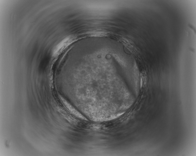 X0000100980339200807081249