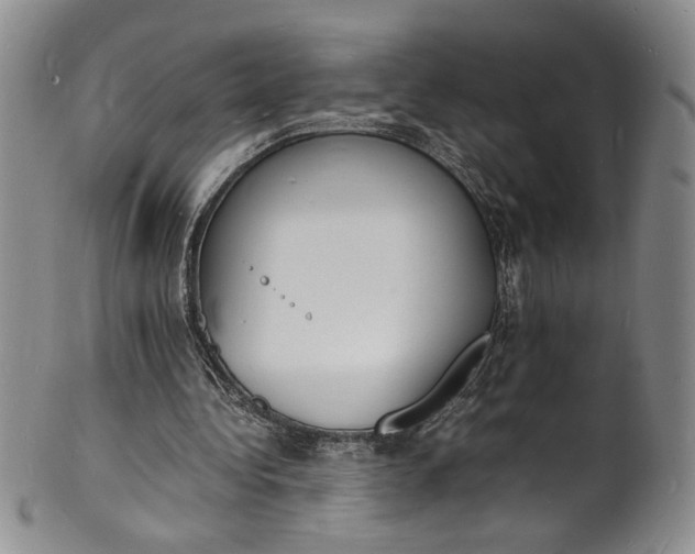 X0000100980340200807081249