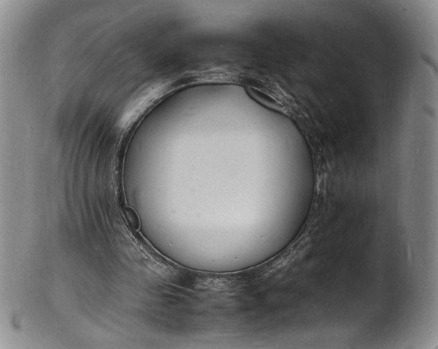 X0000100980341200807081249