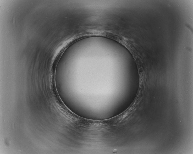 X0000100980342200807081249