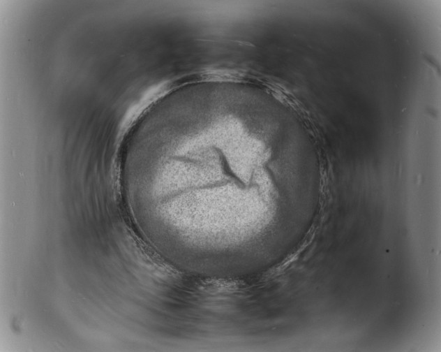 X0000100980343200807081249