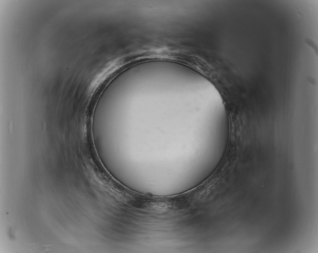 X0000100980344200807081249