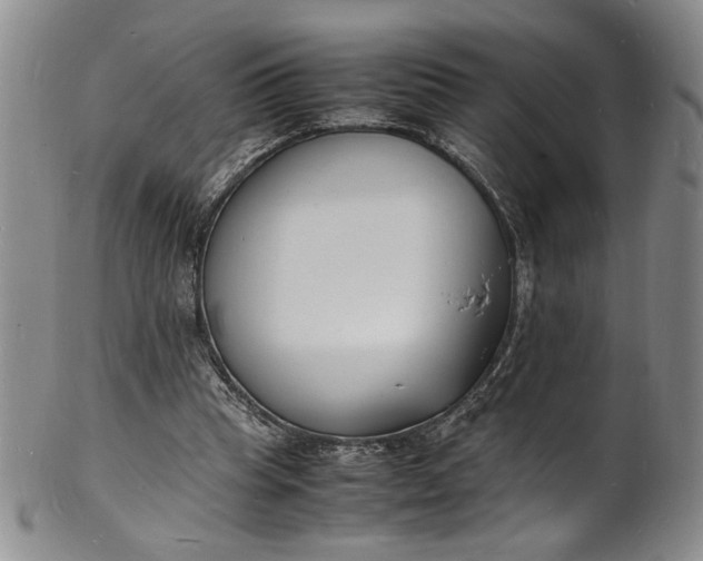 X0000100980345200807081249