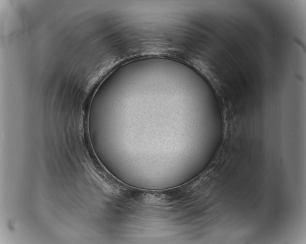 X0000100980346200807081249