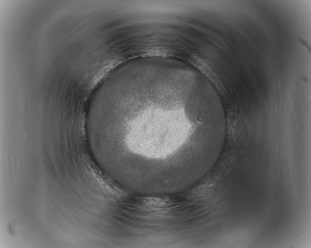 X0000100980347200807081249