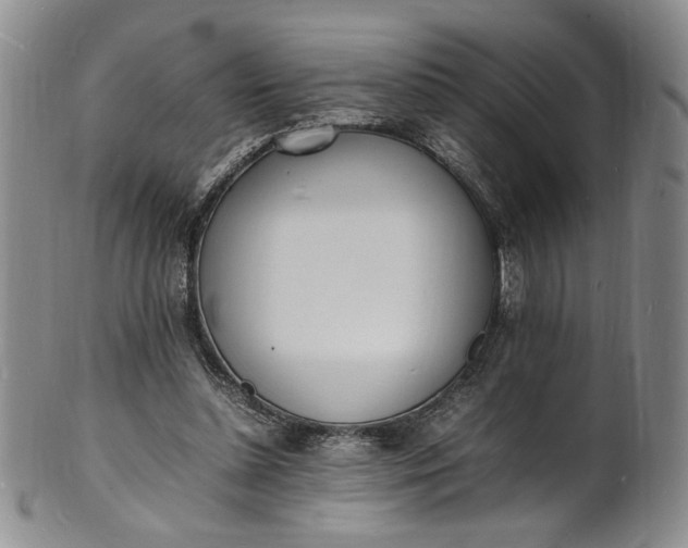 X0000100980348200807081249