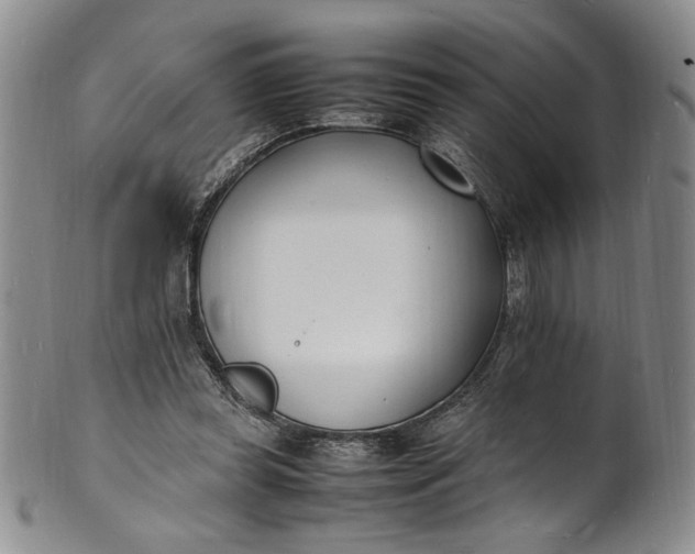 X0000100980349200807081249