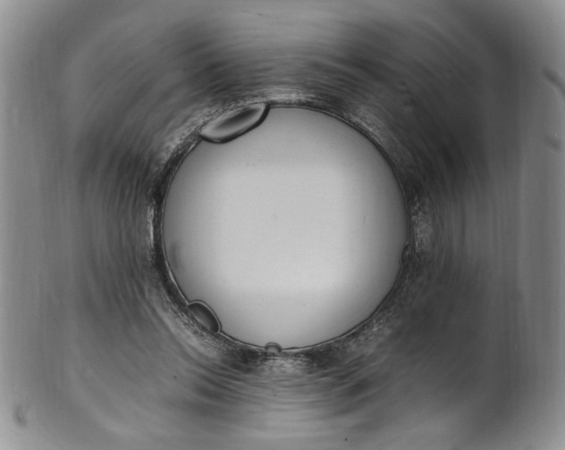 X0000100980350200807081249