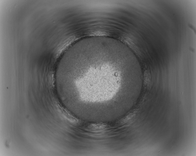 X0000100980351200807081249