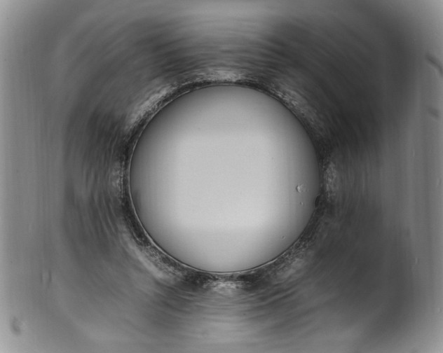 X0000100980352200807081249