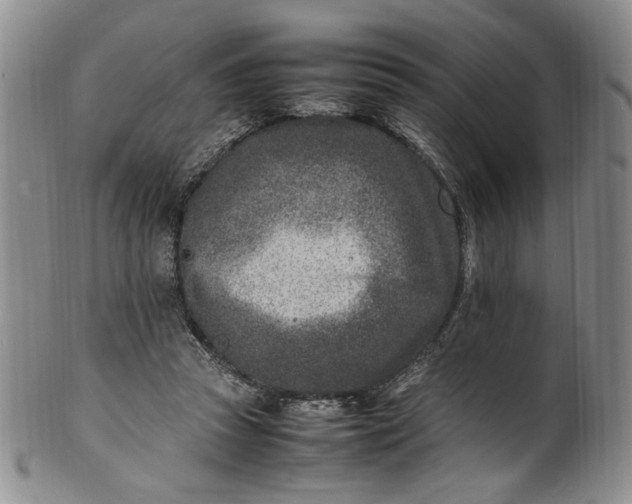 X0000100980353200807081249