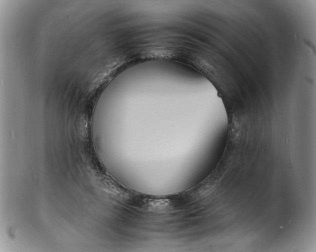 X0000100980355200807081249