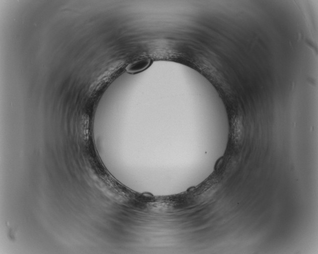 X0000100980356200807081249