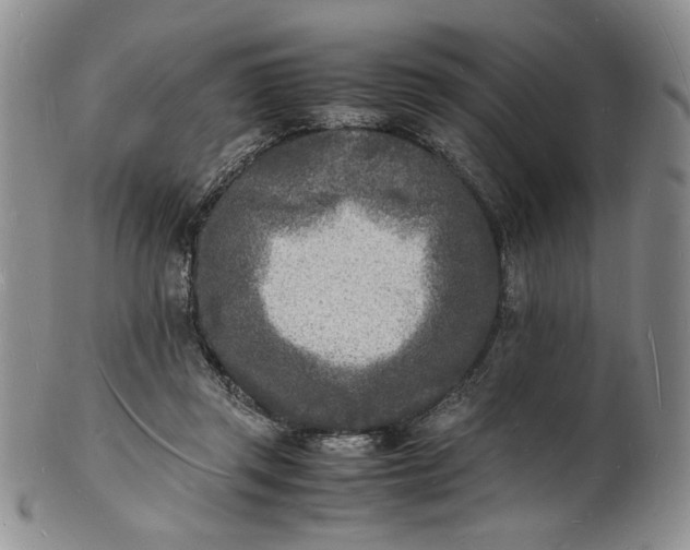 X0000100980357200807081249