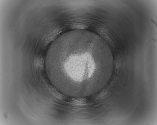 X0000100980359200807081249