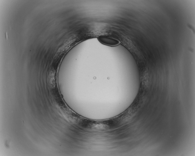 X0000100980360200807081249