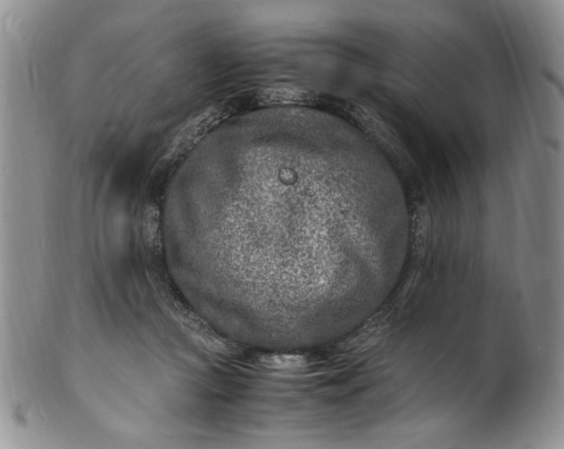 X0000100980361200807081249