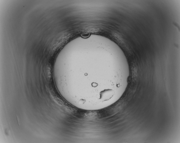 X0000100980362200807081249