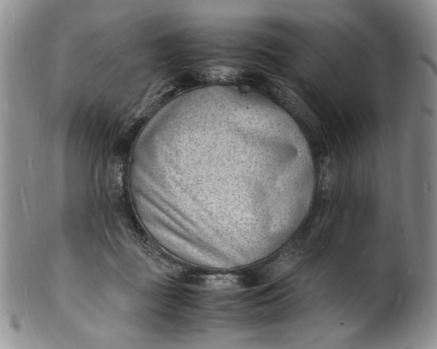 X0000100980363200807081249