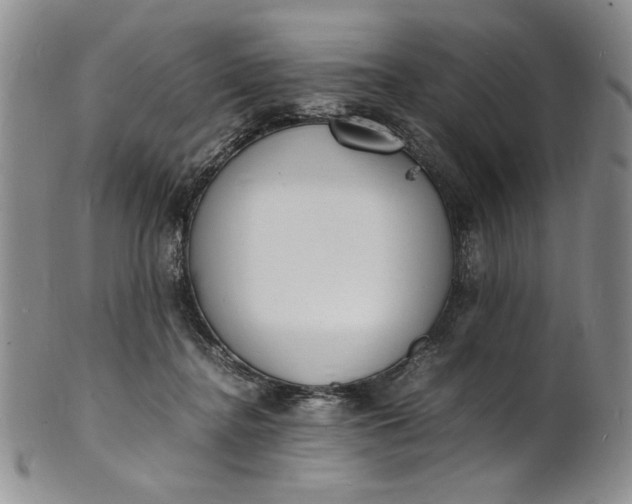 X0000100980364200807081249