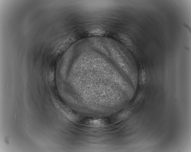 X0000100980365200807081249