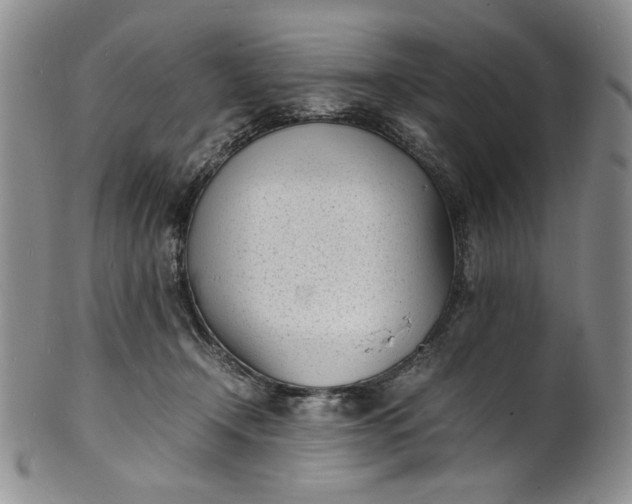 X0000100980366200807081249