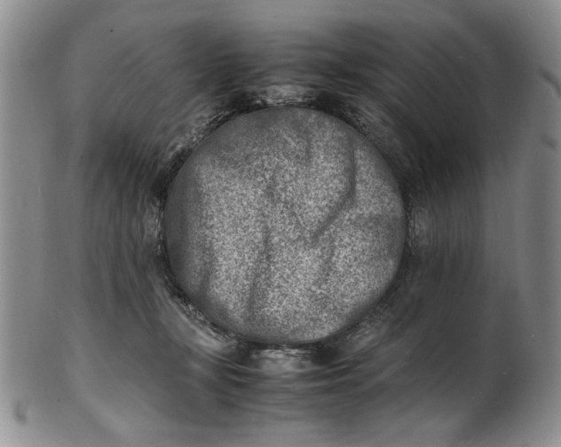 X0000100980367200807081249