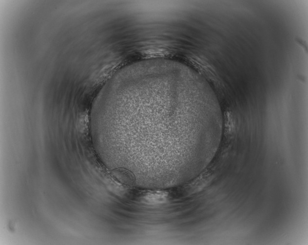 X0000100980369200807081249