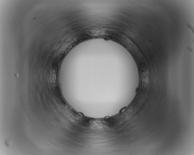 X0000100980372200807081249