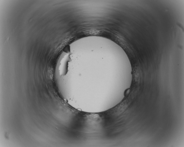 X0000100980374200807081249