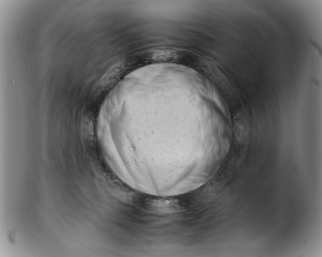 X0000100980375200807081249