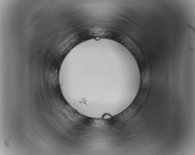 X0000100980376200807081249