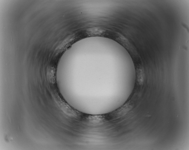 X0000100980378200807081249